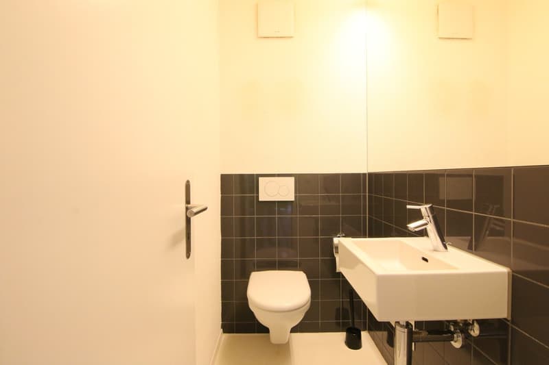 Appartamento luminoso 3.5 locali con standard di condominio (4)