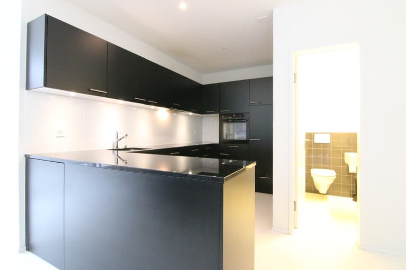 Appartamento luminoso 3.5 locali con standard di condominio (2)