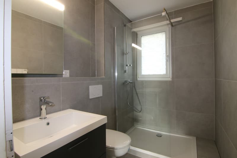Appartement de 3 pièces lumineux après rénovation complète à Biberist (2)