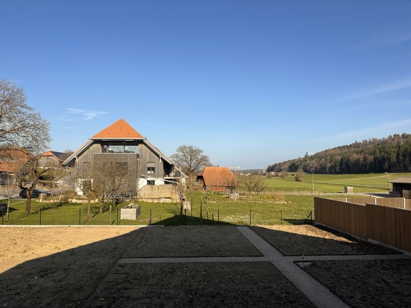 Country life with urban comfort (6)