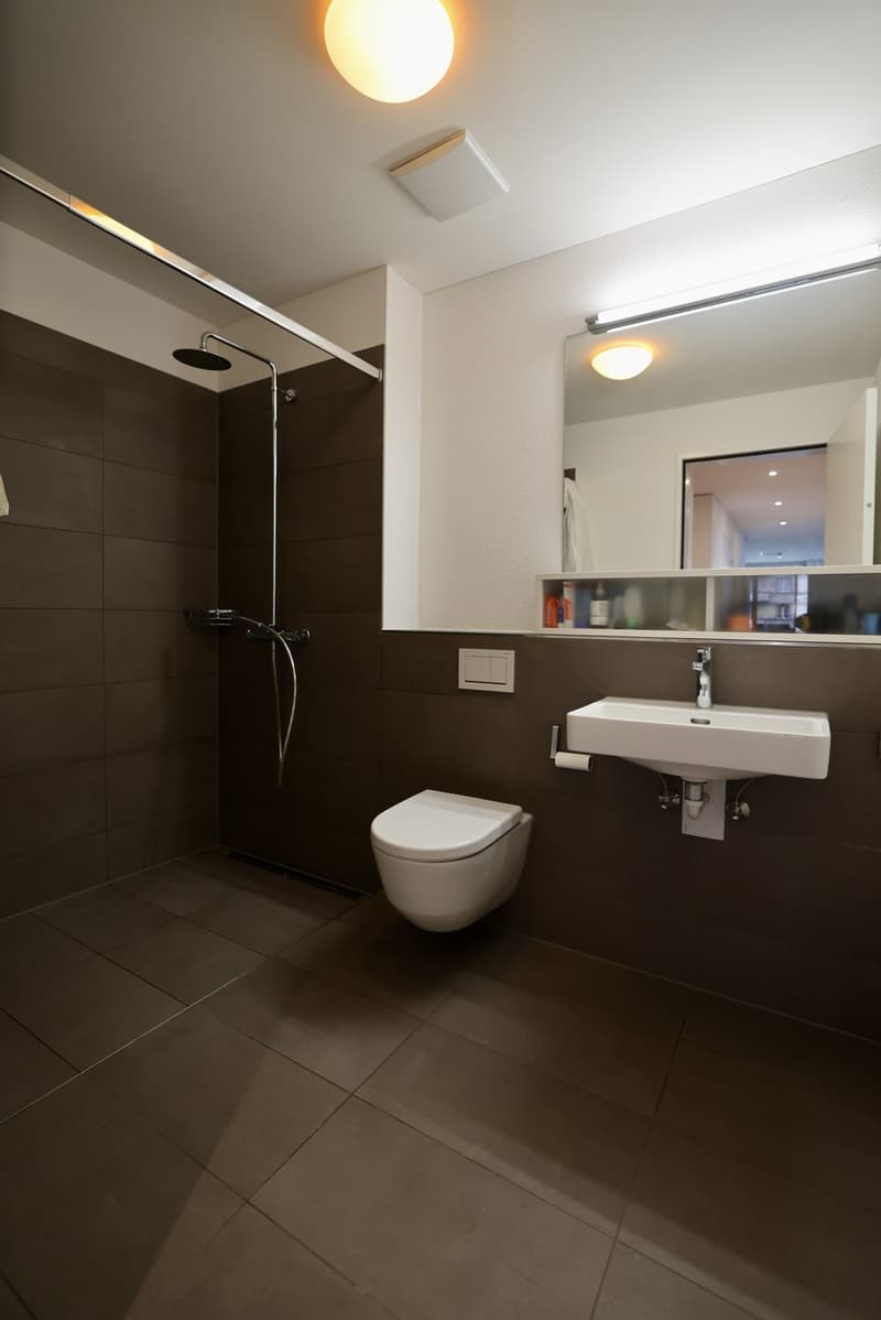 Exklusive Wohnung im Dorfkern (6)