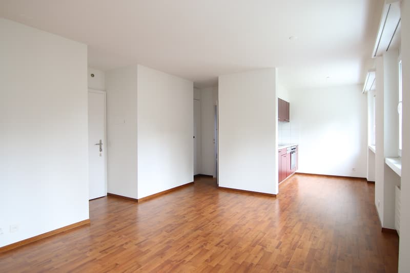 2.5-Zimmerwohnung am Stadtrand nähe Hauptbahnhof (2)