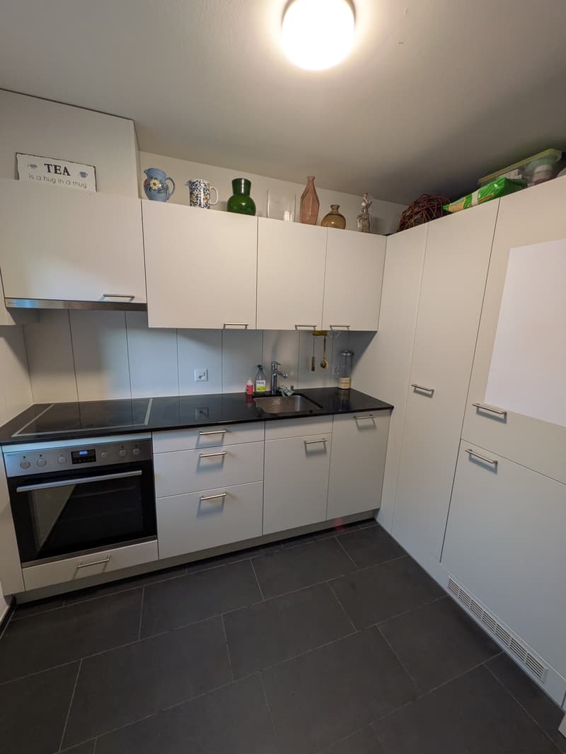 Charmante 2-Zimmer-Wohnung mit neuem Balkon in Solothurn (5)