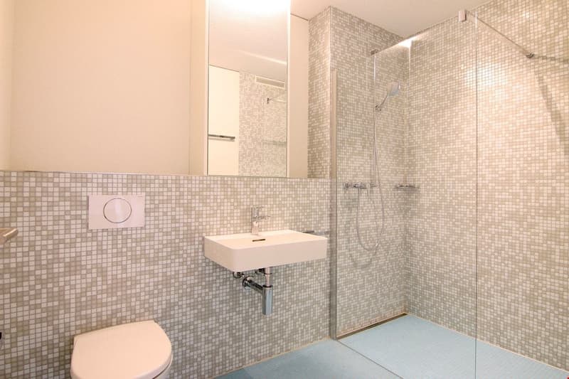 Urbanes Wohnen im Grünen (3)