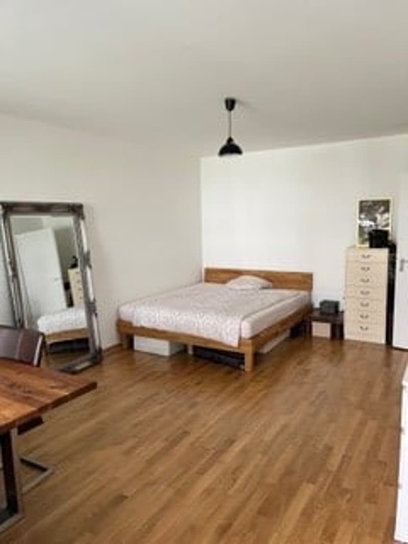 1-Zimmer-Wohnung mit Balkon in Pratteln , kurfristig verfügbar (3)