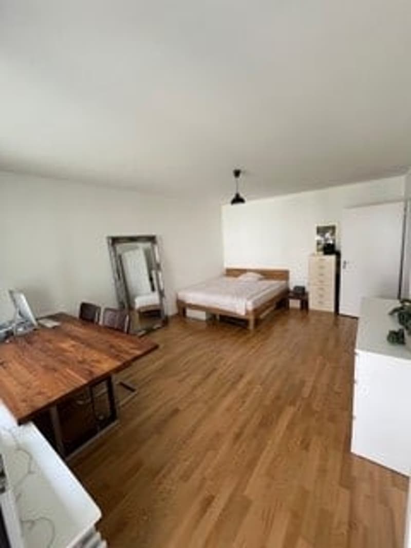 1-Zimmer-Wohnung mit Balkon in Pratteln , kurfristig verfügbar (4)