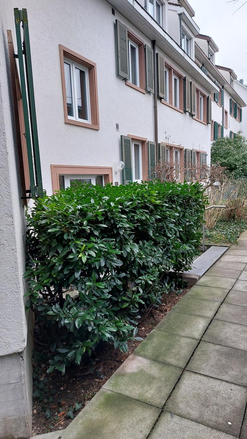 Frisch sanierte  3.5-Zimmer-Dachgeschosswohnung am Lindenplatz in Bettingen (7)