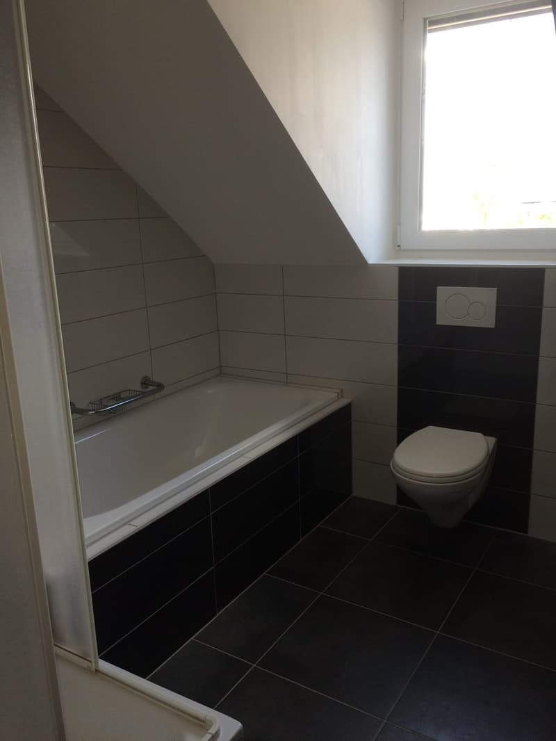 Sehr grosszügige 6 Zimmerwohnung (7)