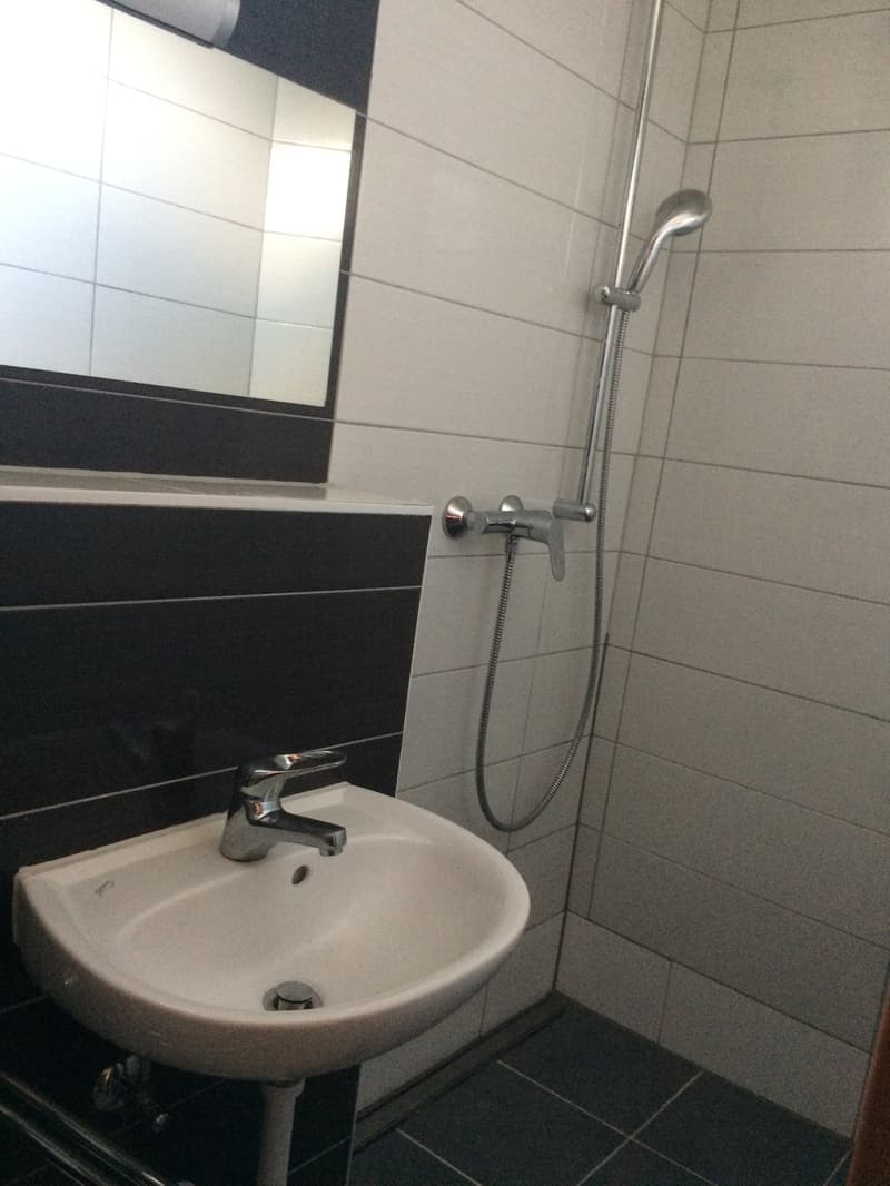 Sehr grosszügige 6 Zimmerwohnung (5)