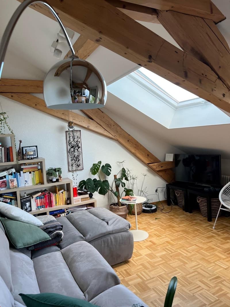 grosszügige 2.5 Zimmer Altbauwohnung im Dachgeschoss mit Dachterrasse (6)