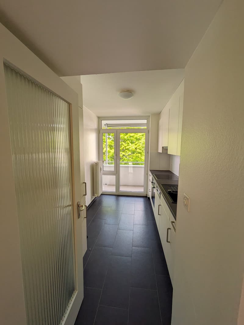 Renovierte  3 Zimmerwohnung mit neuer Küche im Grünen (6)