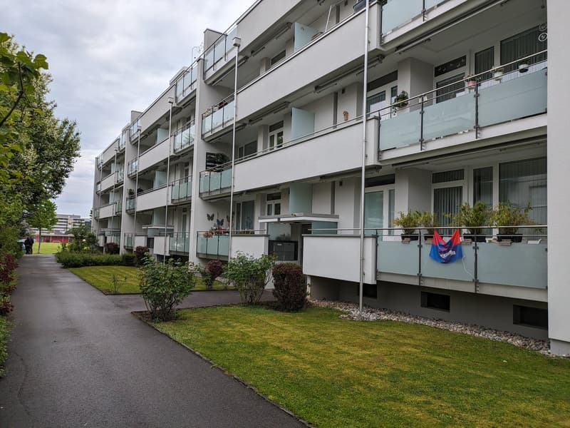Renovierte  3 Zimmerwohnung mit neuer Küche im Grünen (2)