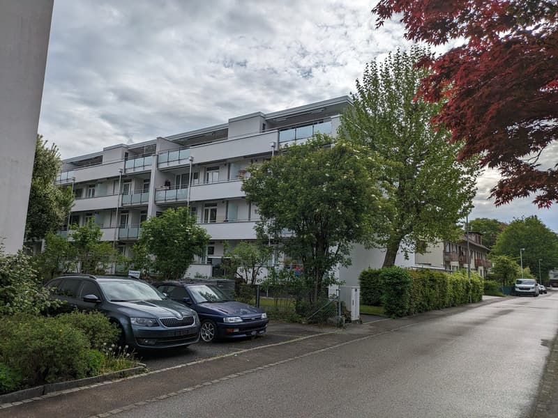 Renovierte  3 Zimmerwohnung mit neuer Küche im Grünen (4)