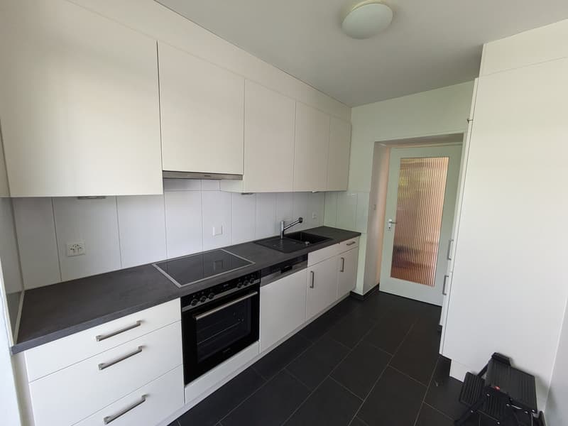 Renovierte  3 Zimmerwohnung mit neuer Küche im Grünen (5)