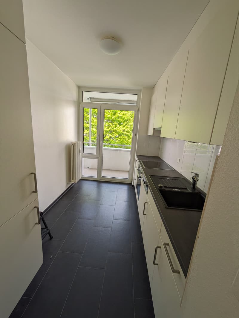 Renovierte  3 Zimmerwohnung mit neuer Küche im Grünen (7)