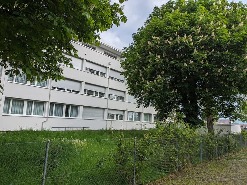Renovierte  3 Zimmerwohnung mit neuer Küche im Grünen (3)