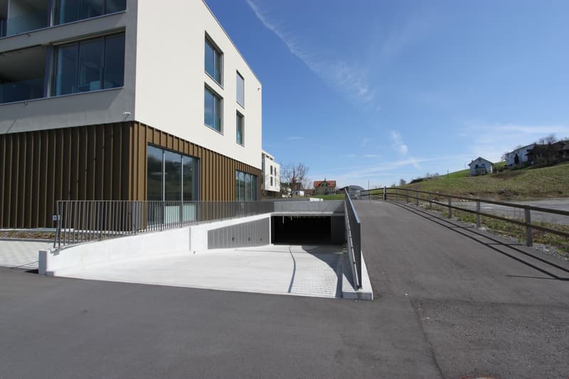 Place de parking à Honau (2)