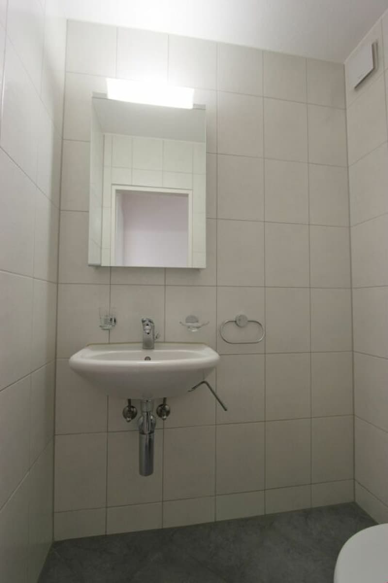 Sonnige, helle Wohnung in schönem Quartier (7)