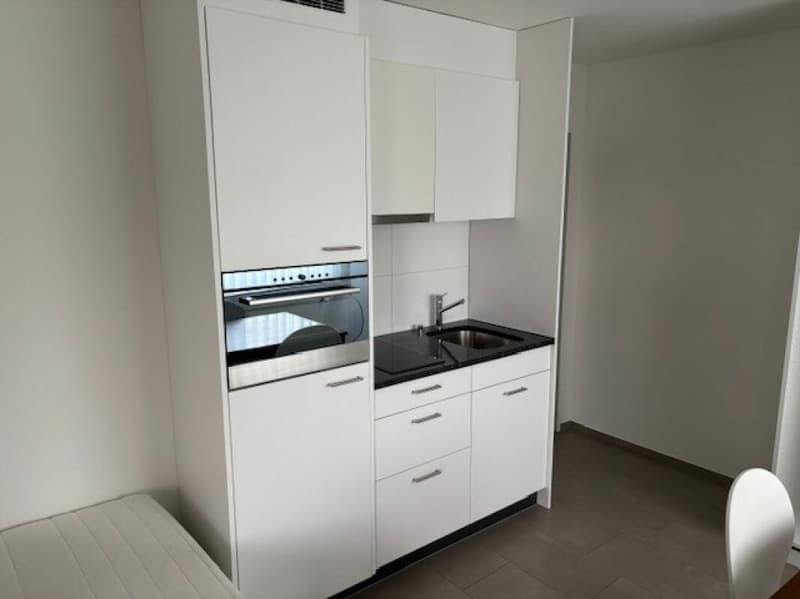 möblierte 1-Zimmer-Einliegerwohnung für Wochenaufenthalter (6)