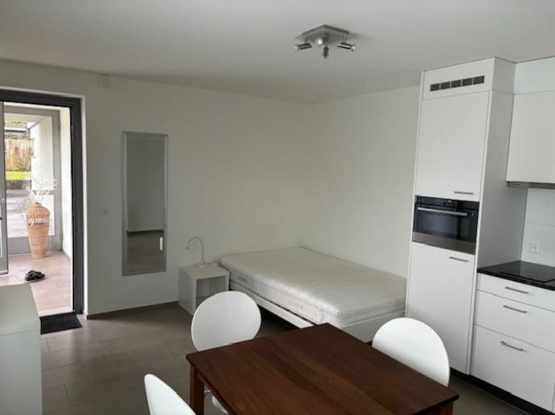 möblierte 1-Zimmer-Einliegerwohnung für Wochenaufenthalter (3)