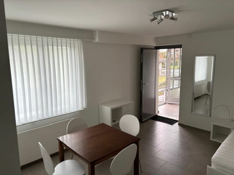 möblierte 1-Zimmer-Einliegerwohnung für Wochenaufenthalter (4)