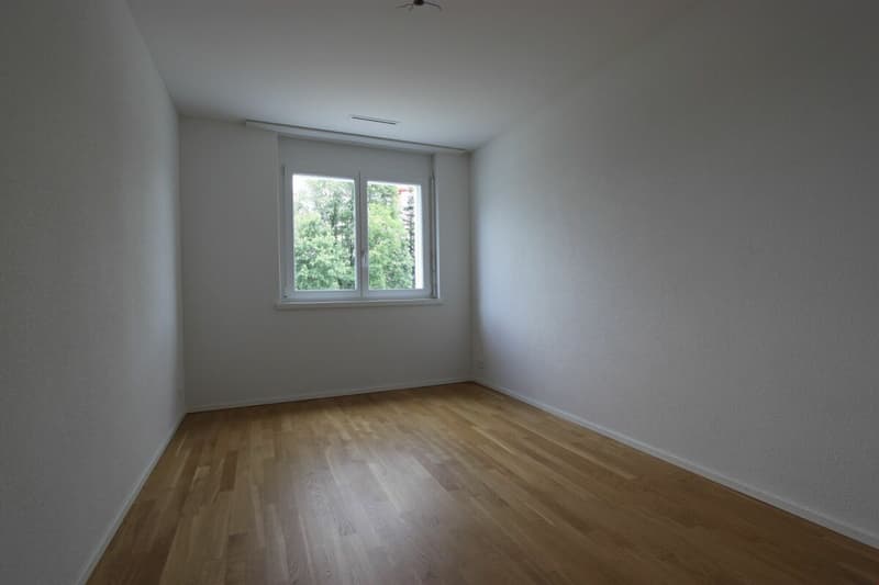 Blick ins Grüne (4)