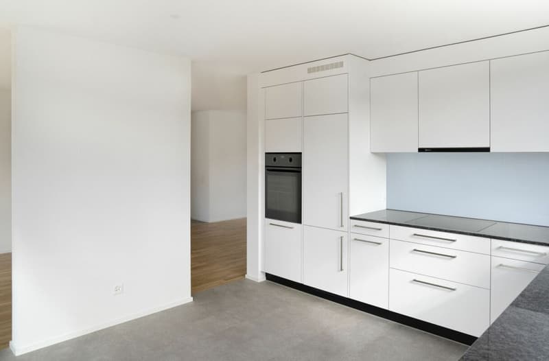 Neuwertige 3.5-Zimmerwohnung in Grossdietwil (3)