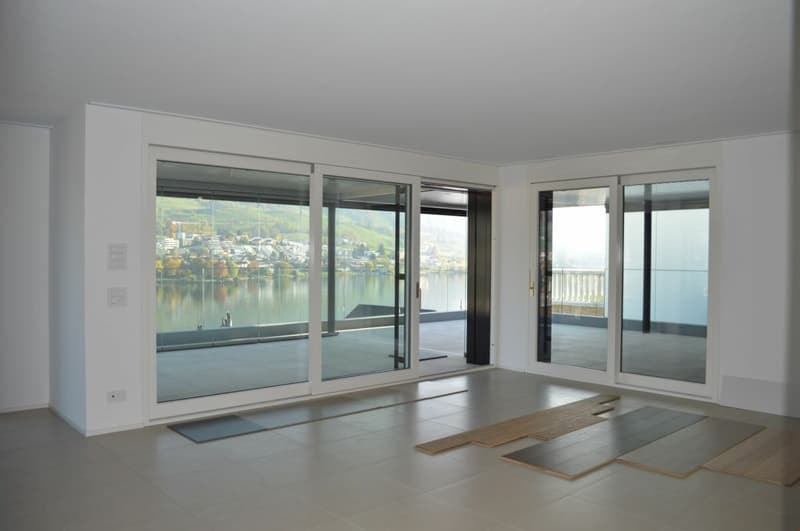 5.5-Zimmerwohnung mit tollem Ausblick auf See und Berge (5)