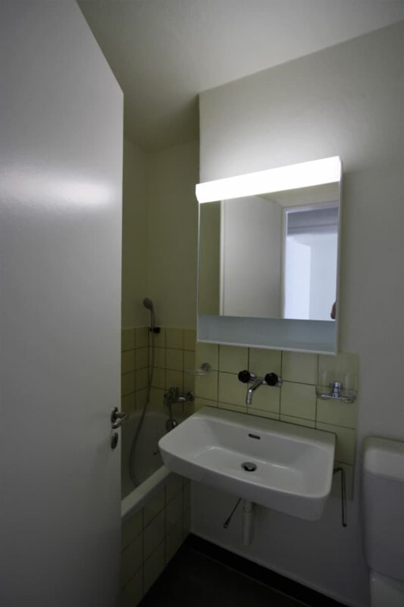 3-Zimmerwohnung in Emmenbrücke (3)