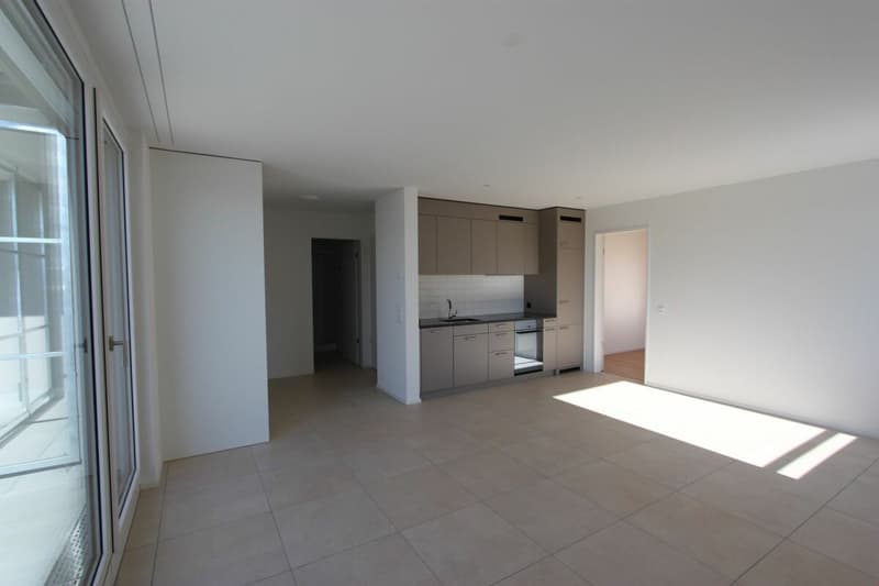 Moderne 2.5-Zimmer-Attikawohnung (4)