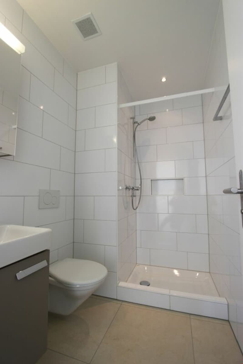 Moderne 2.5-Zimmer-Attikawohnung (5)