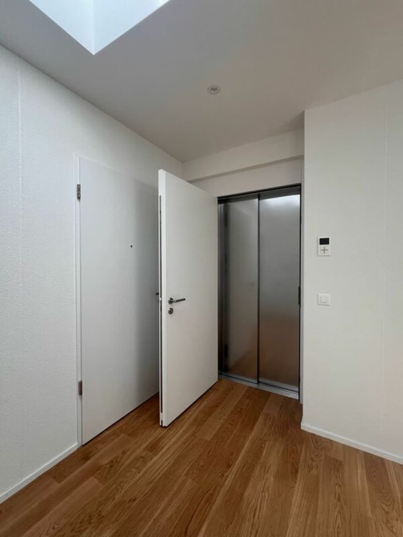 4.5-Zimmerwohnung Attika in Honau (2)