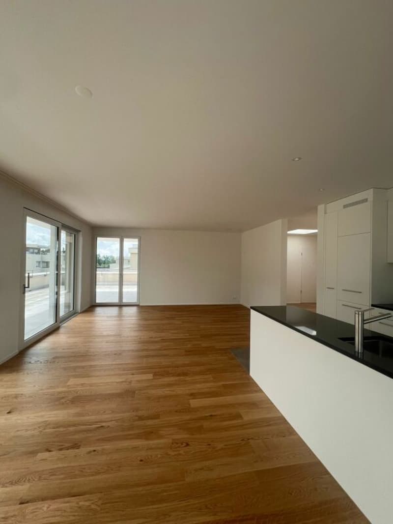 4.5-Zimmerwohnung Attika in Honau (5)