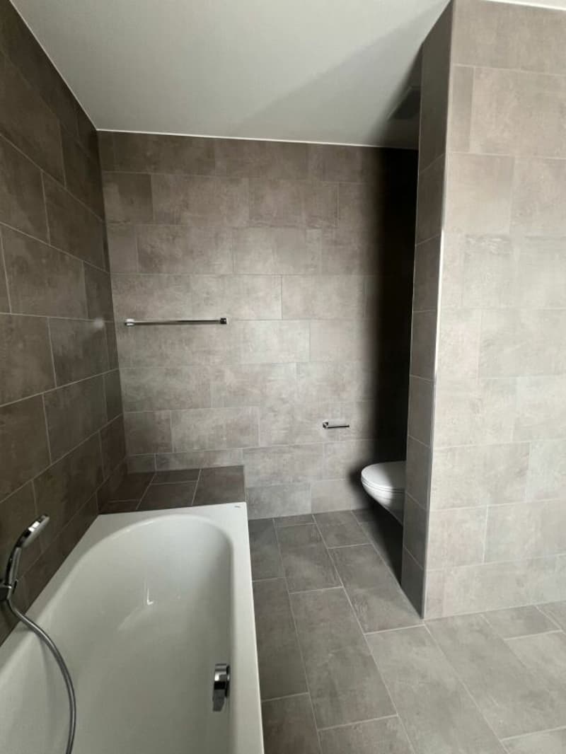 4.5-Zimmerwohnung Attika in Honau (7)