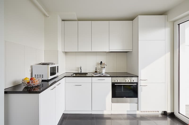 Beautiful 2 room across from Schützenmatt Park (3)