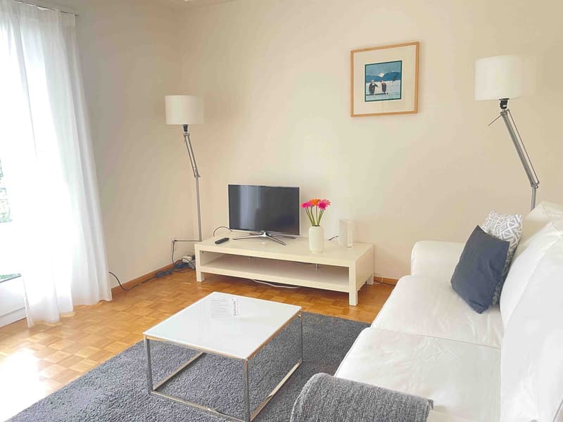 Lovely one bedroom near Spalentor (11)