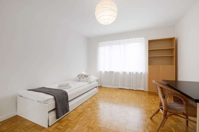 Quiet two bedroom apartment near Schüztenmatt Park (4)