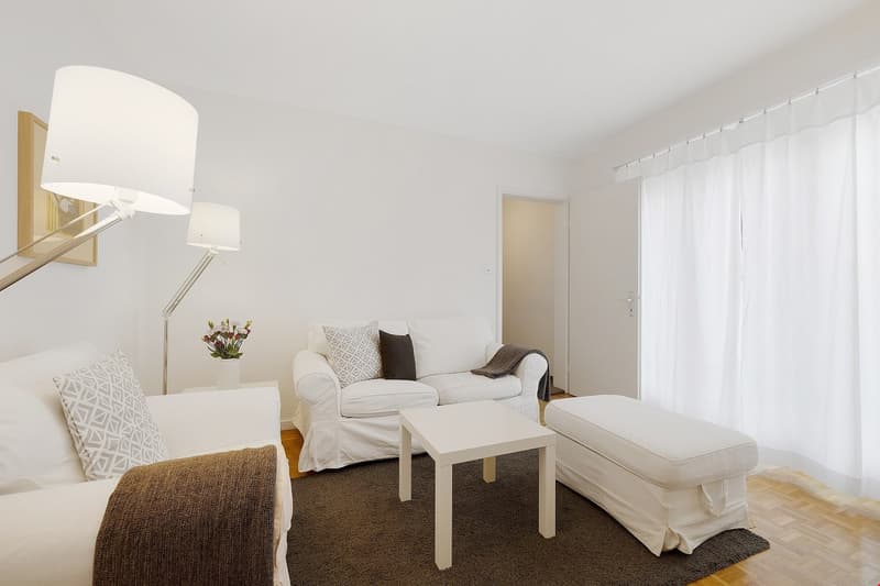 Quiet two bedroom apartment near Schüztenmatt Park (2)