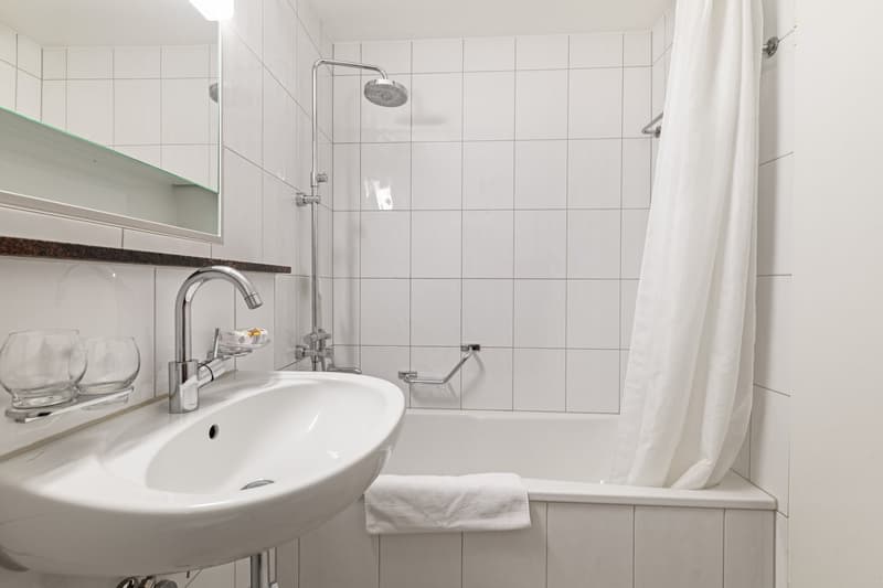 THA803D bathroom
