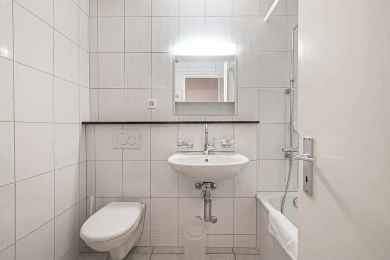 THA803D bathroom
