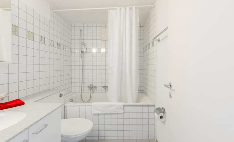 Two room apartment in St. Johann (7)