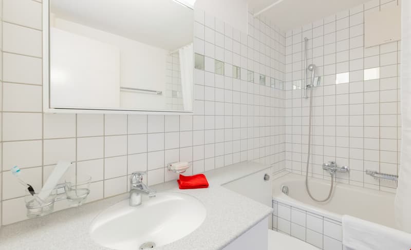 Two room apartment in St. Johann (6)