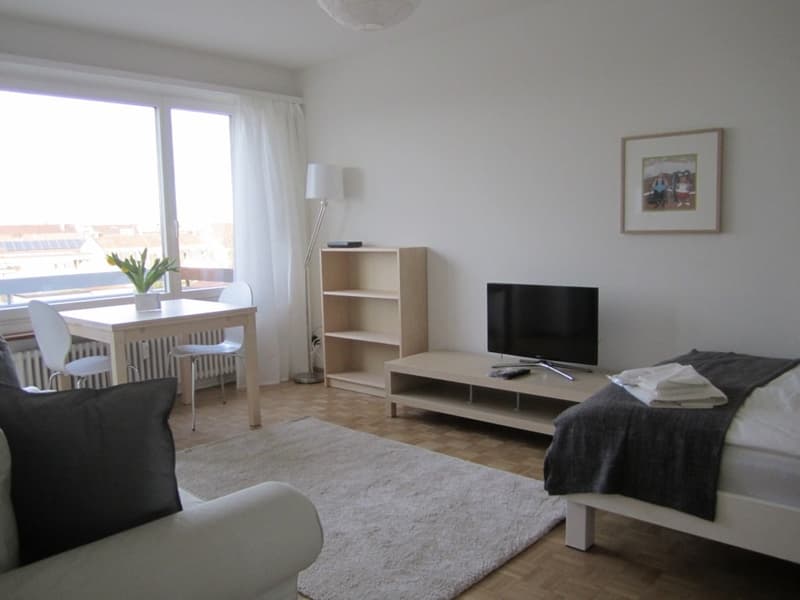 Lovely one room apartment near Spalentor (2)