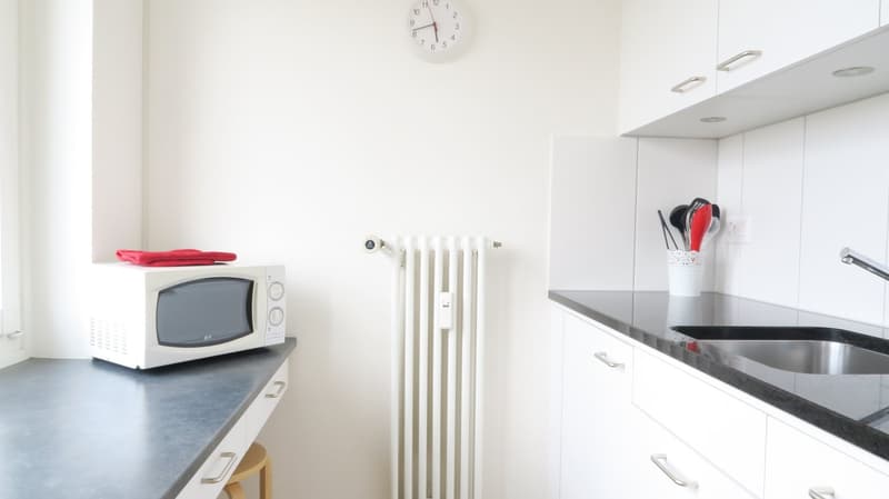 Lovely one room apartment near Spalentor (6)