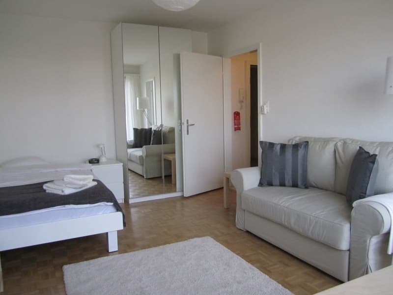 Lovely one room apartment near Spalentor (3)