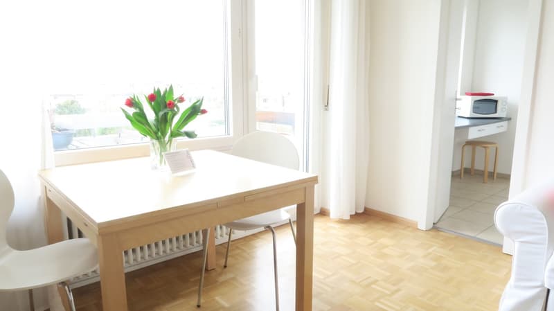 Lovely one room apartment near Spalentor (4)