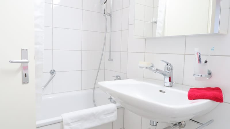 Lovely one room apartment near Spalentor (8)