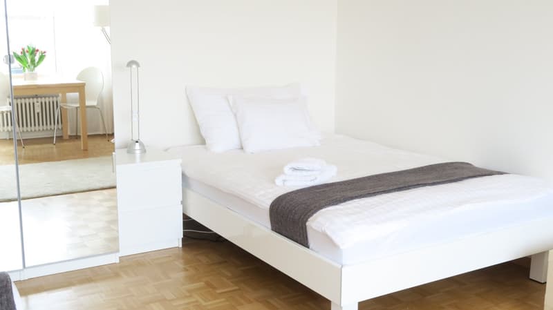 Lovely one room apartment near Spalentor (7)