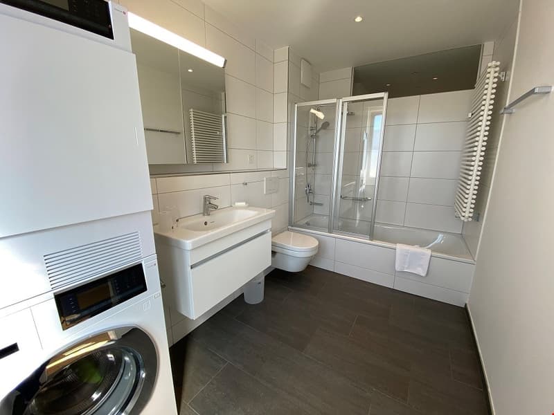 Top floor two bedroom apartment near Schüztenmatt Park (7)