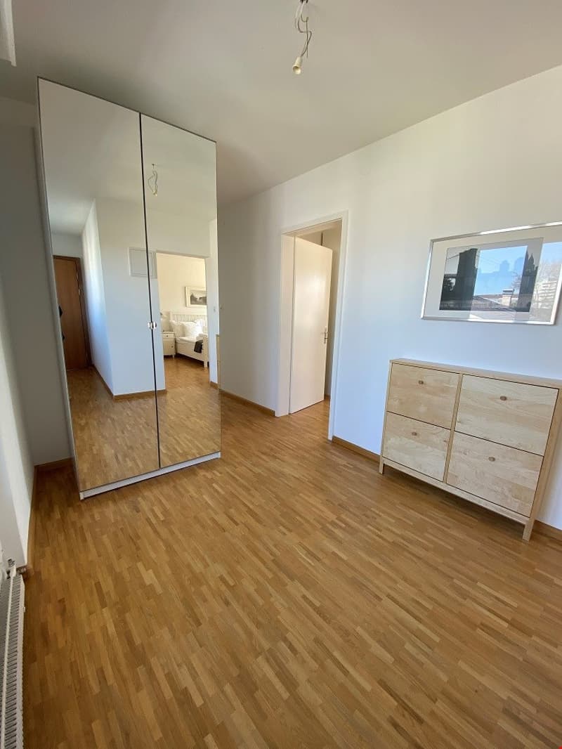 Top floor two bedroom apartment near Schüztenmatt Park (10)